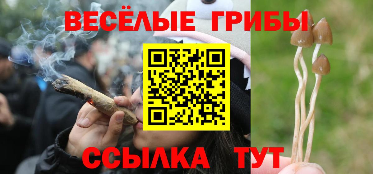 Галлюциногенные грибы мицелий  Вход с VPN  Тверь 